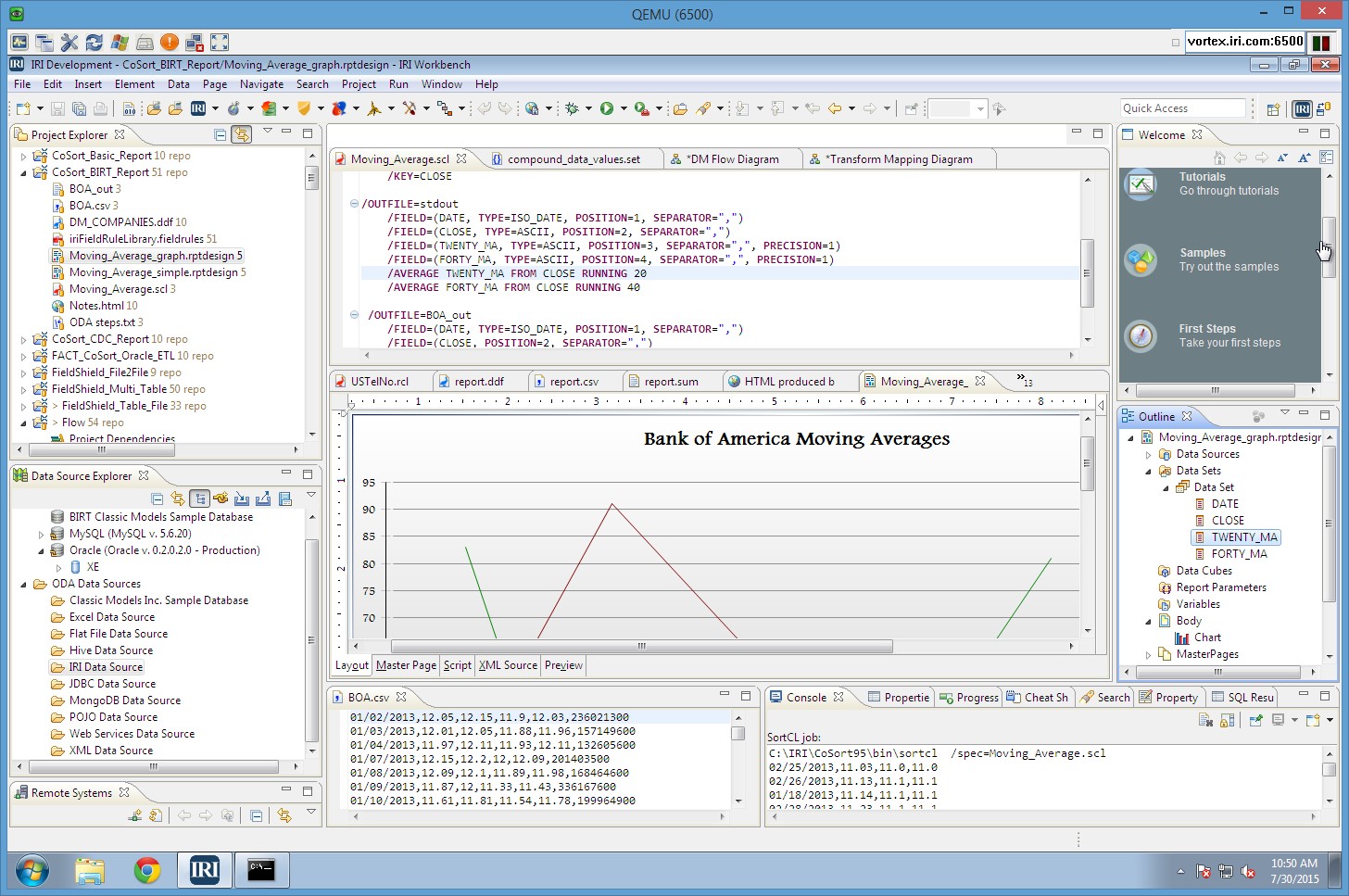 IRI Workbench BIRT screenshot