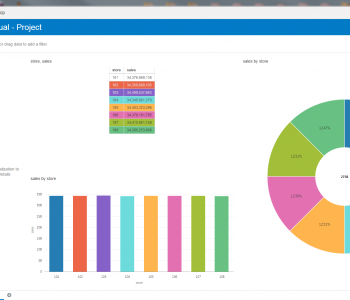 Oracle DV charts