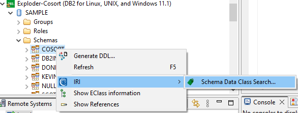 Schema Data Class Search - IRI